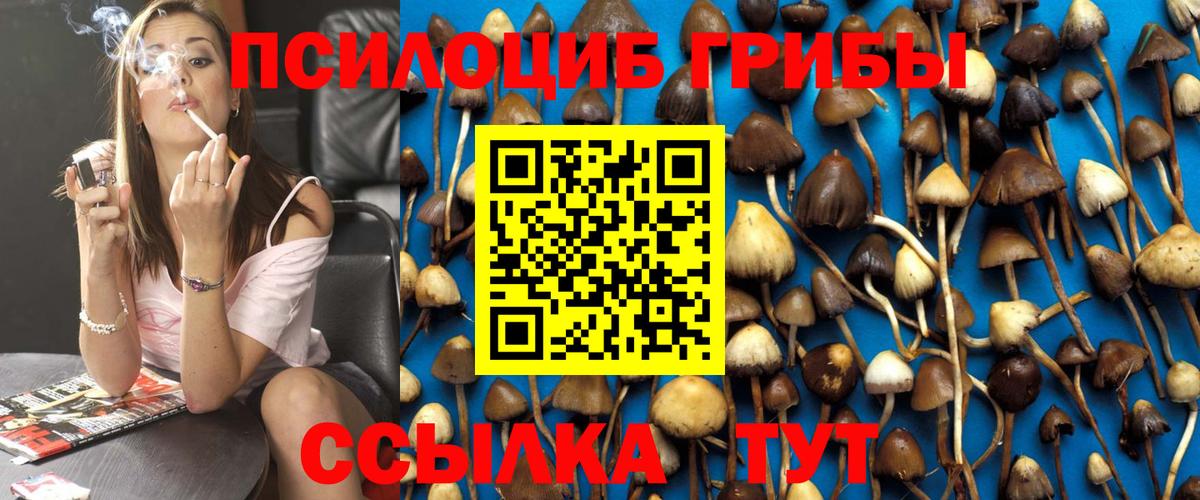 Псилоцибиновые грибы Psilocybine cubensis Курчатов